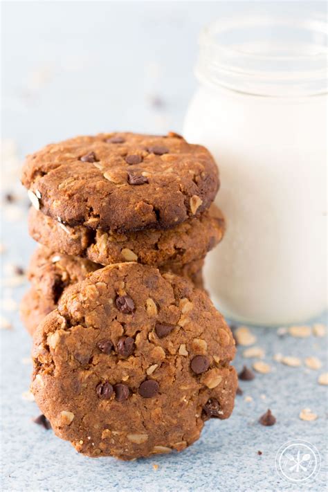 Chocolate Chip Oatmeal Lactation Cookies Hungry Hobby