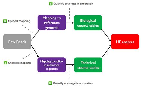 Single-cell RNA-seq analysis tutorial