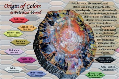 Origin Of Colors In Petrified Wood Petrified Forest National Park Az