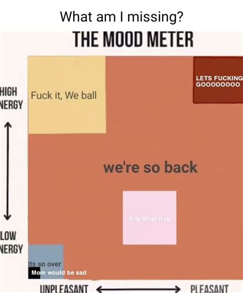 What Am I Missing THE MOOD METER LETS FUCKING We Re So Back HIGH I