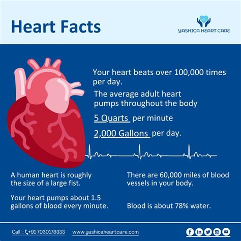 Heart Facts Heart Facts Heart Care Facts