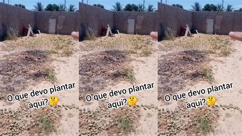 O Que Devo Plantar Vem Conhecer Meu Rancho YouTube