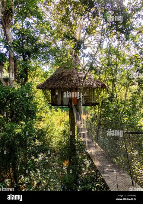 Glamping Accommodation In The Amazon Rainforest Wooden Treehouse