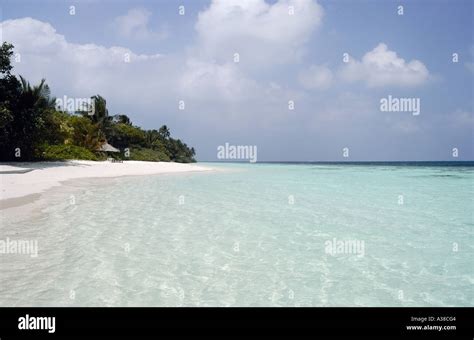 white sand beach, Maldives Stock Photo - Alamy