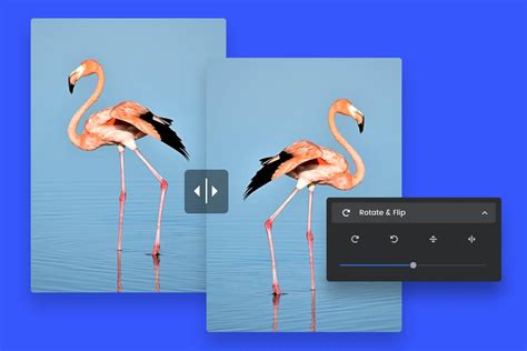 Voltear imagen Herramienta para invertir imagen gratis en línea Fotor