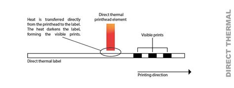 Thermal Transfer Vs Direct Thermal My