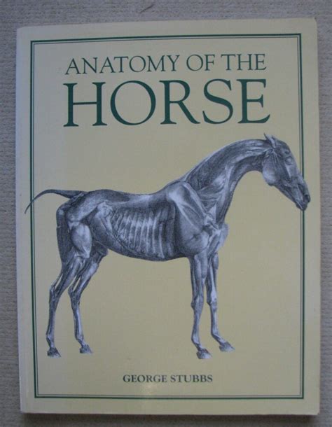 Anatomy Of The Horse George Stubbs Horse Books