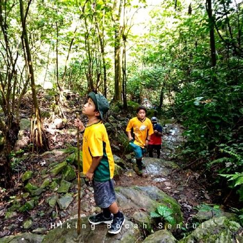 5 Rekomendasi Tempat Trekking Ramah Anak Sentul Hingga Gunung Pancar