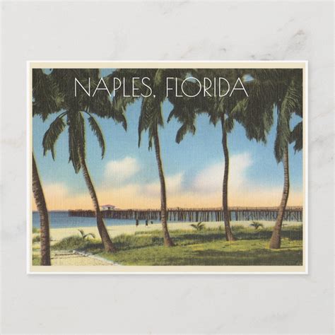 Vintage Naples Florida View Of Gulf Postcard Zazzle