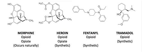 Opioid Structure Chart