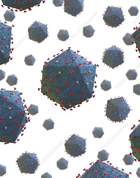 African Swine Fever Virus Particles Illustration Stock Image C046 3374 Science Photo Library