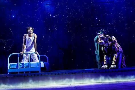 Broadway Review Life Of Pi Gerald Schoenfeld Stage And Cinema