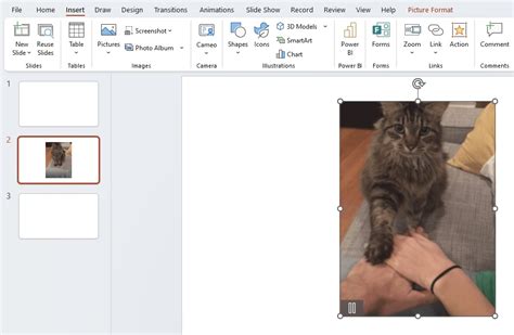Easy GIF Control: How to Stop GIFs in PowerPoint Presentations ...