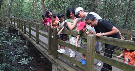 Adventures With The Naked Hermit Crabs Holiday Fun At Pasir Ris Mangroves