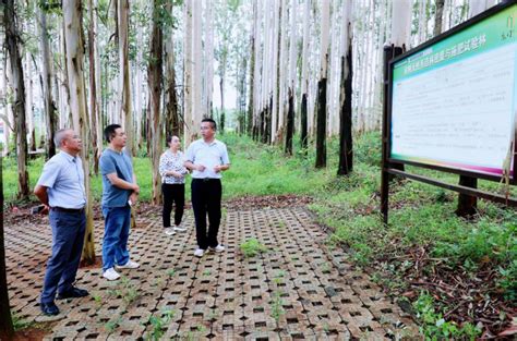 云南省林业和草原局到广西考察学习国有林场高质量发展工作云南省林业和草原局