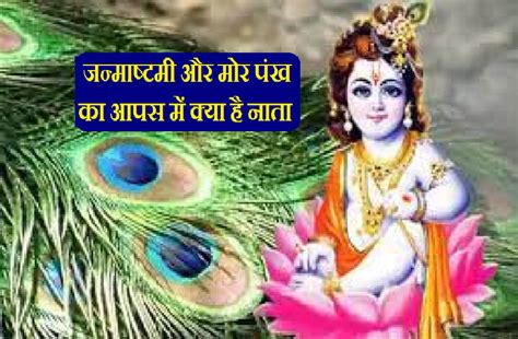 Shri Krishna Janmashtami 2021 Mor Pankh Upay Janmashtami 2021 Mor