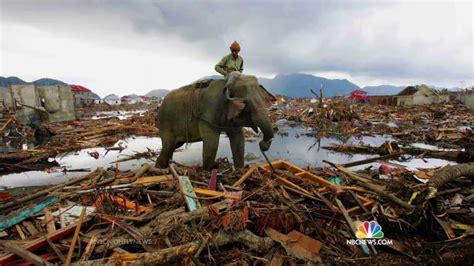 End Of The World Memories Still Fresh Years After Tsunami Nbc News