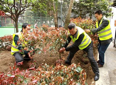 萬盛經開區：整治老舊小區 建設微型公園 每日頭條