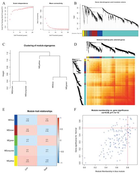 Investigating Molecular Markers Linked To Acute Myocardial Infarction