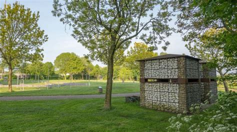 Nigrum Pullum En De Zwammerdam Schepen Hier Is Alphen