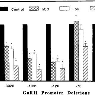 Effect Of Treatment With Hcg Or Overexpression Of Fos Or Creb On