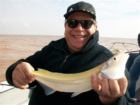 Guia De Pesca En Berisso Altapesca Ya Estan Los Gran Berisso