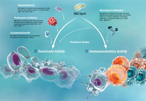 Bolder Science Cereblon E3 Ligase Modulators Celmod® Agents In