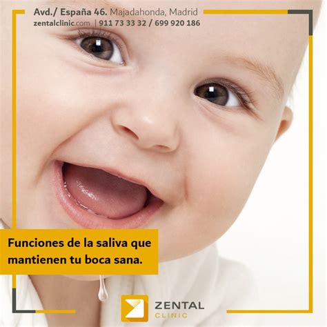 ¿cuáles Son Las Funciones De La Saliva Zental Clinic Centro Dental