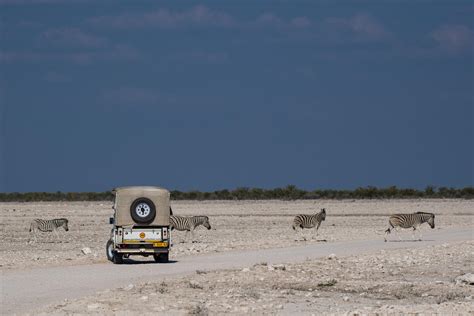 Etosha National Park - Think Africa