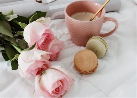 Tea Rose Color Scheme » Image » SchemeColor.com