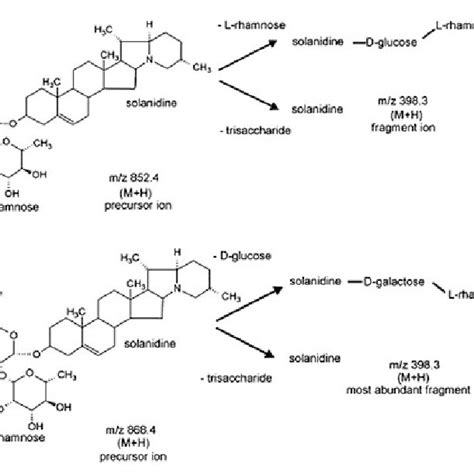 4 The mass splitting patterns and LC analysis of α chaconine and