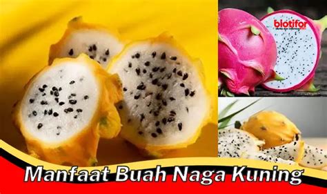 Jenis Buah Naga Manfaat Kandungan Dan Cara Mengolahnya Biotifor