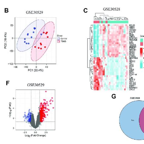 Mrna Level Of Hub Genes In Gse All Hub Genes Are Upregulated In