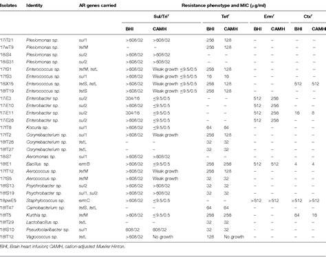 Table 2 From Characterization Of Antibiotic Resistance In Commensal