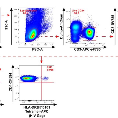 Ex Vivo Detection Of Viable Hiv Specific Cd4 T Cells From Patient