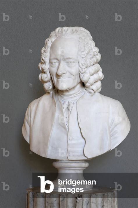 Image Of Bust Of Voltaire Marble By Houdon Jean Antoine 1741 1828