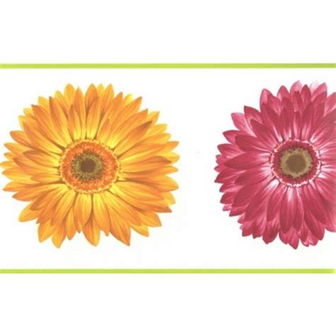 Gerber Daisy Border Clip Art