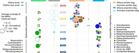 Depth Distribution Of Metagenome Assembled Genomes MAGs With