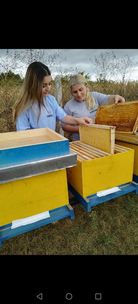 Empowering The Future Gjyle Kameraj S Beekeeping Success Story In