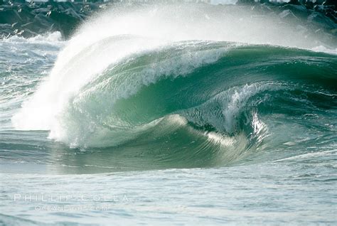 Wedge Newport Beach April 12 Natural History Photography Blog