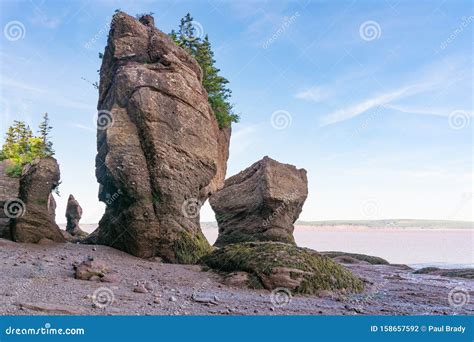 Rock Formations In Hopewell Rocks Park New Brunswick Stock Foto