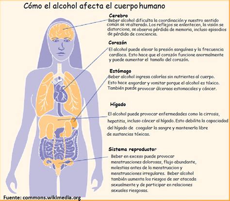 Beber Alcohol Aumenta El Riesgo De Ser Atacada Sexualmente Dice