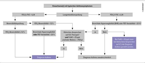 Neue Asthma Leitlinie Unterstreicht Paradigmenwechsel Pneumologie