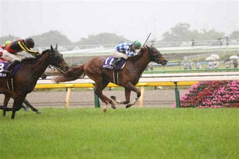 【nhkマイルc】シャンパンカラーg1初制覇雨中の決戦制して3歳マイル王に 内田は5年ぶりg1勝利 競馬ニュース Netkeiba