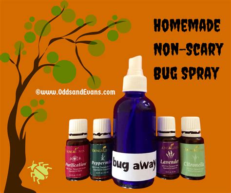 Homemade Bug Spray To Scare Away Bugs With Natural Ingredients