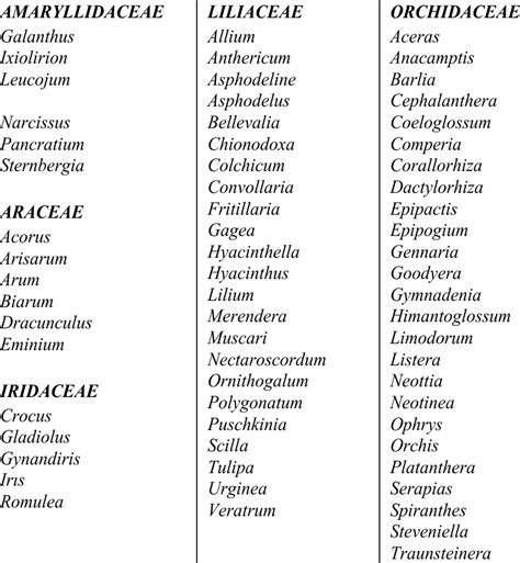 Monocot Plants And Their Scientific Names