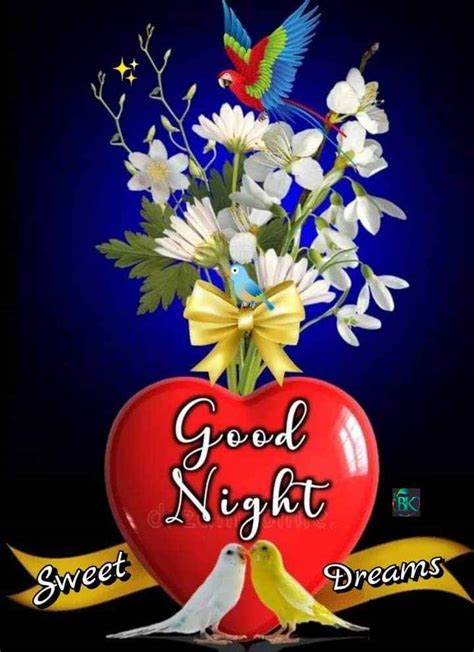 💐good Night🌙 Images • Bk Patel Bkpatel216 On Sharechat