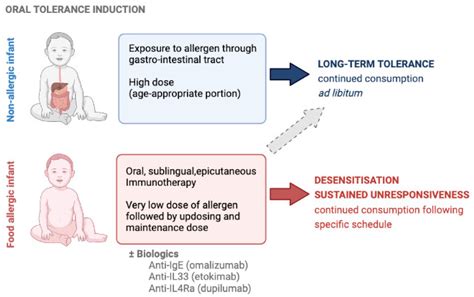 Oral Tolerance Inductionopportunities And Mechanisms