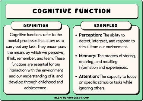 Piaget Unit Necessary For Mental Organization And Mental Functioning