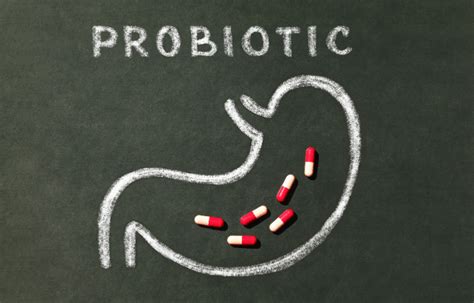 Role of Probiotics in Women for UTI Treatment - Urinary Tract Infection